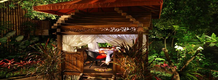 1074/Jungle Retreat Hotel by Kupu Kupu - Ubud 05.jpg